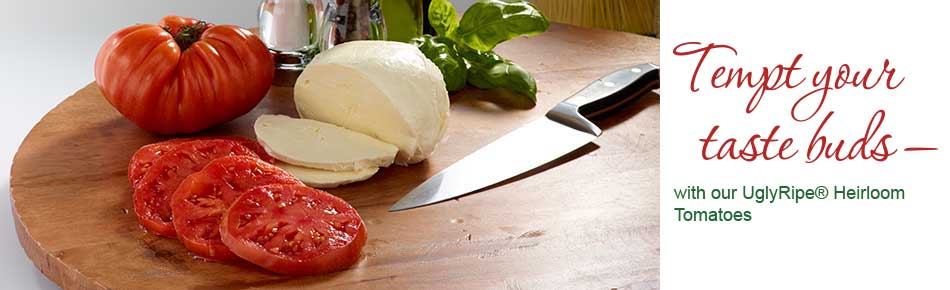 Tempt Your Tastbuds with our UglyRipe&reg; Heirloom Tomatoes