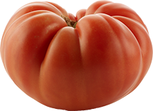 UglyRipe® Tomato